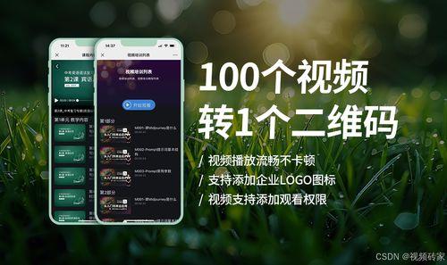 100种视频