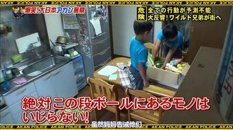 日本入室kb视频,日本kb视频揭秘惊心动魄一幕