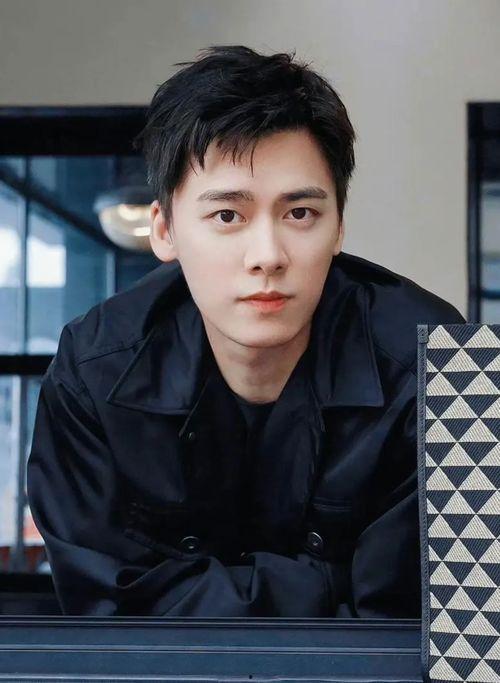 内地男明星李姓,星光璀璨的演艺之路