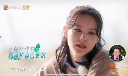 女明星互撕爆料视频大全,视频大全背后的真相与内幕