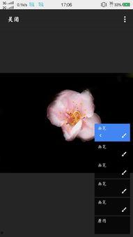 纯黑背景视频,揭秘神秘视频背后的故事